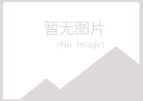 山阳区宛海会计有限公司